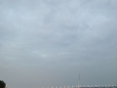 -深圳湾公园(南山区)