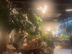 -自由生长植物工作室(深港花卉中心店)