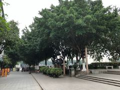 -黄埔古港