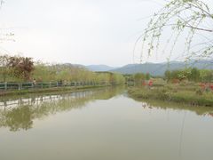 -天适樱花悠乐园