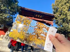 -北京石刻艺术博物馆(五塔寺)
