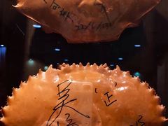 -龍海鲜螃蟹王(大巴窑)
