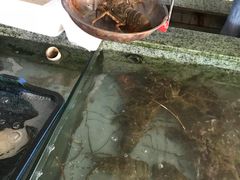 芝士焗龙虾-快乐海鲜城(虎泉街店)