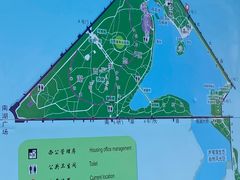 -长春市南湖公园