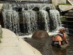 -五营红松林海景区