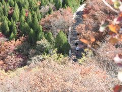 -佛慧山