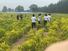 -天津武清北运河郊野公园房车露营地