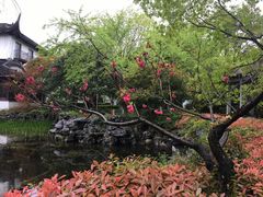 -东山雕花楼