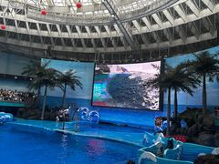 -海合安成都极地海洋公园