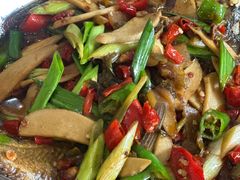 -明珠湖天鹅苑·农家菜馆