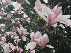 -赛百味SUBWAY(高新店)