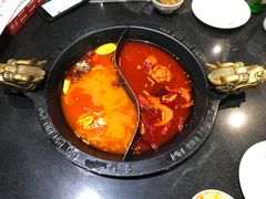 鸳鸯锅-重庆德庄火锅(体育中心店)