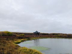 -塞罕坝国家级自然保护区