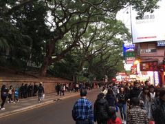 -九龙公园