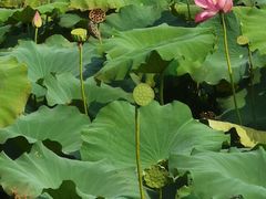 -浙江省博物馆(孤山馆区)