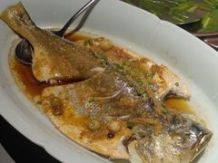 -甘家界柠檬鸭(安吉店)