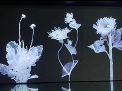 -时代美术馆-成都馆