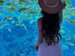 -海合安成都极地海洋公园