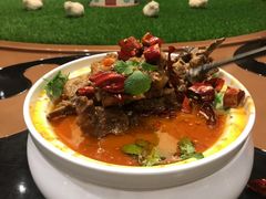 -蒙古人烹羊专家(东风大街店)