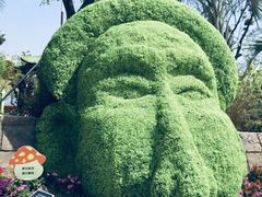 -苏州乐园森林水世界