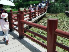 -长兴太湖图影湿地文化园