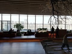 -Seesaw Coffee(朝阳大悦城店)