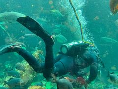 -西雅图水族馆