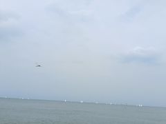 -日照世帆赛基地
