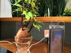 -十二舍·湯物素煮(江泰潤政店)