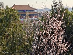 -东华门大街小区