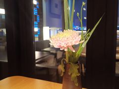 -炎橘·板前料理 Omakase
