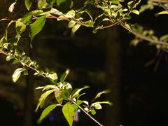 -天鹅湖体育公园