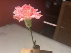 -初蓉丨遇见新川菜(亲贤街荣耀店)