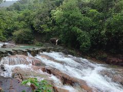 -广州白江湖森林公园