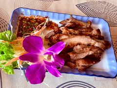 -Jungle Kitchen