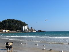 -海云台海滩