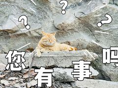 -终南山南五台景区
