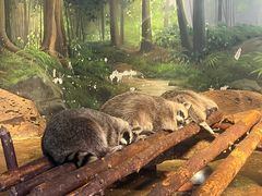 -洛阳龙门海洋馆