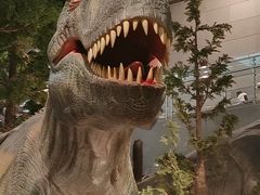 -湖南省地质博物馆