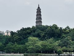-顺峰山公园