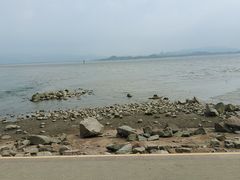 -深圳湾公园(南山区)
