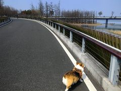 -状元楼(金溪路店)
