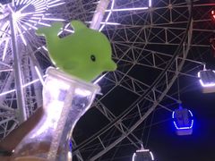 -琴岛之星摩天轮