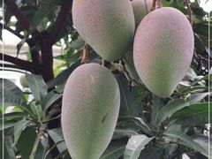 -云溪植物园