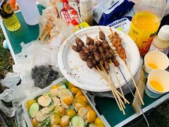 -天津武清北运河郊野公园房车露营地