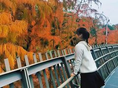 -福道