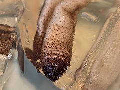 -八闽饭店闽南小镇(铁西店)