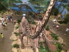 -自贡恐龙博物馆