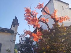 -婺源梦里老家大型山水实景演出