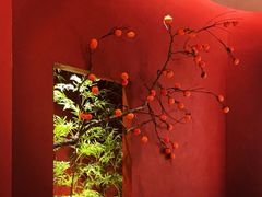 -拾宴(汇智国际商业中心店)